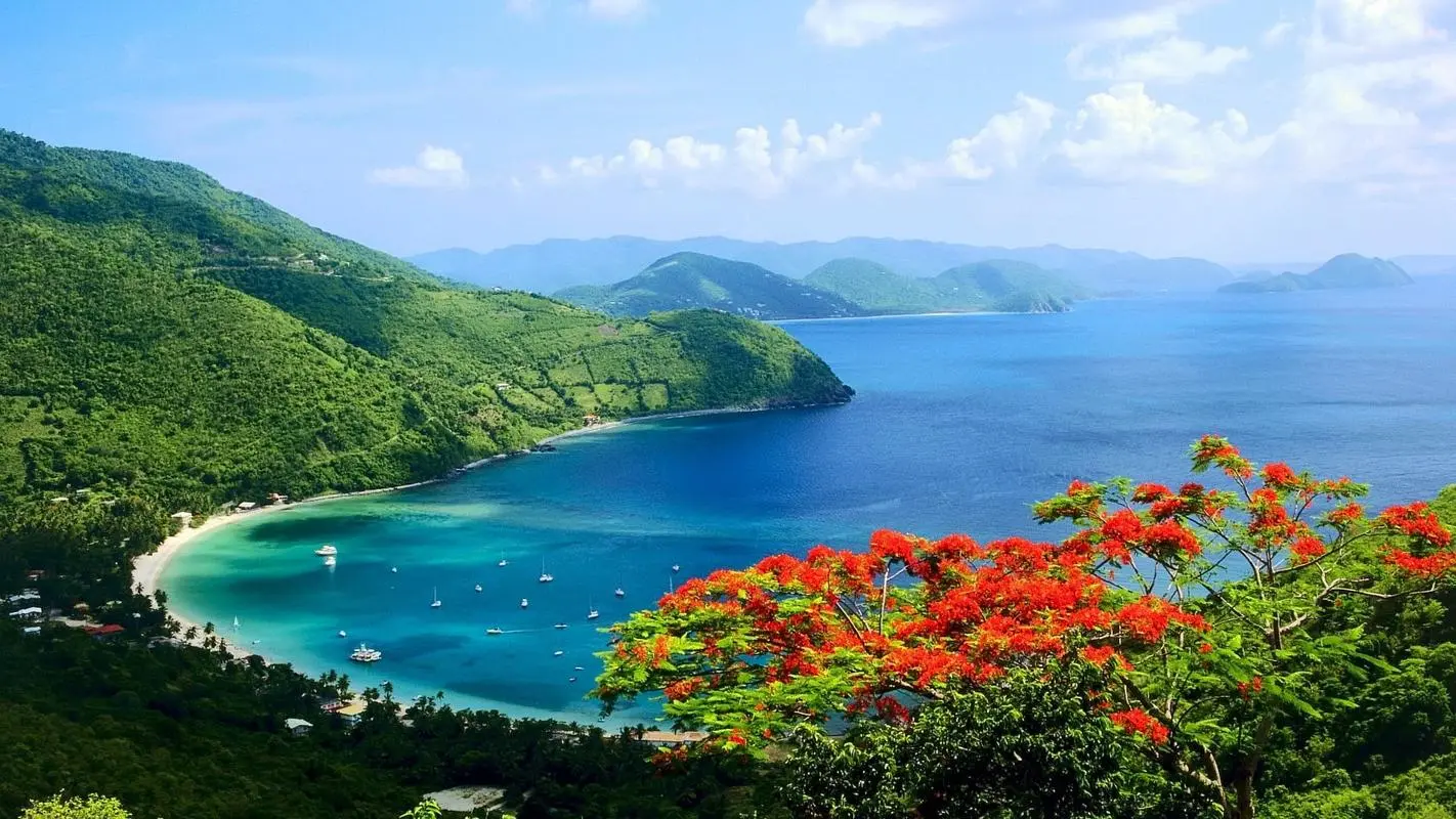 高效创意